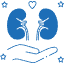 Heart & Kidney Health